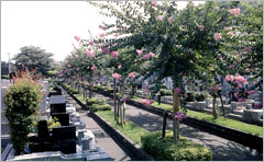 第一武蔵野墓苑